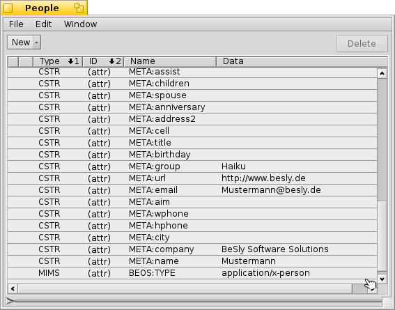 Viewing and editing program resources and attributes